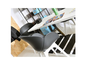 Židle Swan DSX black