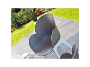 Židle Swan DSX grey