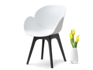 Židle Swan DSX bílo-černá