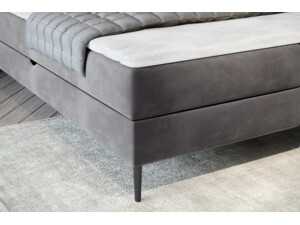 Postel Dove (160)