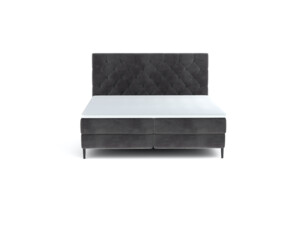 Postel Dove (160)